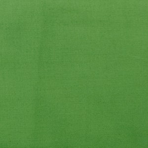 Holly Riley Blake コンフェッティ コットン | 無地生地 | グリーン | Riley Blake Fabrics | 無地生地