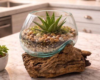Geschmolzene Glasschüssel auf Naturholz Medium mundgeblasenes Pflanzgefäß Terrarium Kerzenhalter Herzstück