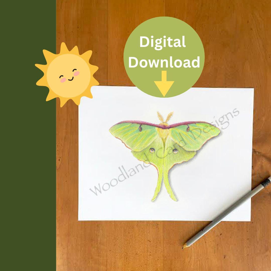 Luna Moth Wall Art - Original Art Print of a Luna Moth Butterfly ...