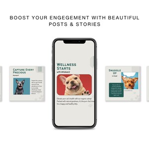 Pets Care And Accessories Educational Social Media Business Marketing Bundle Instagram Templates, Posts and Stories for Instagram and Facebook  200 Ready Made Templates Fully Customizable in Canva's Free Version.