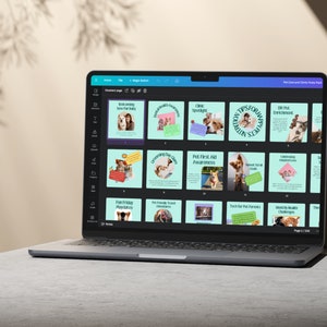 Pets Care and Accessories Instagram Business Marketing Templates, Posts and Stories for Instagram and Facebook – 200 Ready-Made Templates Fully Customizable in Canva's Free Version. using Canva's free version, Instagram post templates