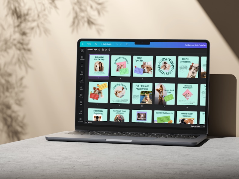 Pets Care and Accessories Instagram Business Marketing Templates, Posts and Stories for Instagram and Facebook – 200 Ready-Made Templates Fully Customizable in Canva's Free Version. using Canva's free version, Instagram post templates
