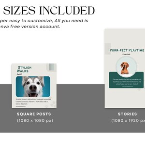 Pets Care And Accessories Educational Social Media Business Marketing Bundle Instagram Templates, Posts and Stories for Instagram and Facebook  200 Ready Made Templates Fully Customizable in Canva's Free Version.