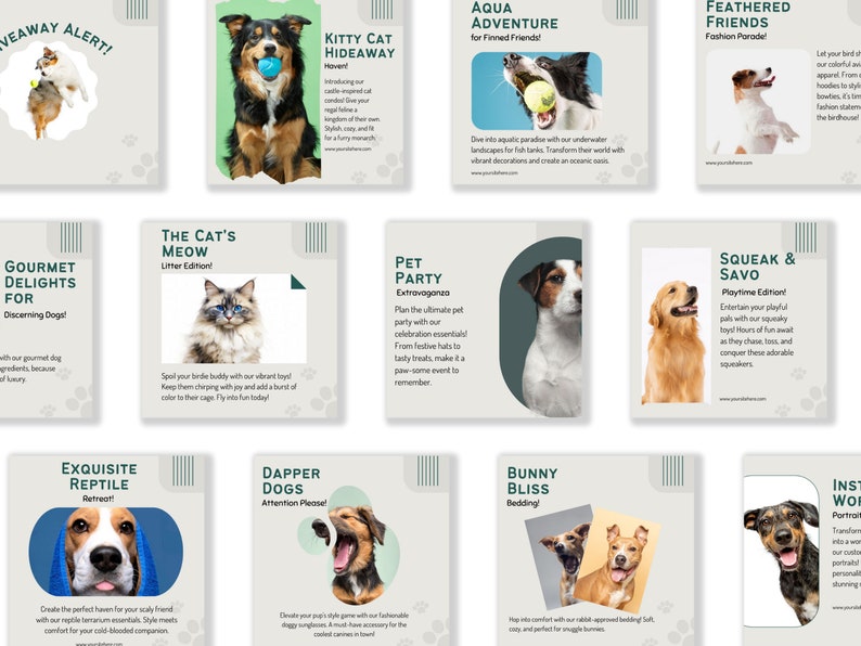 Pets Care And Accessories Educational Social Media Business Marketing Bundle Instagram Templates, Posts and Stories for Instagram and Facebook  200 Ready Made Templates Fully Customizable in Canva's Free Version.