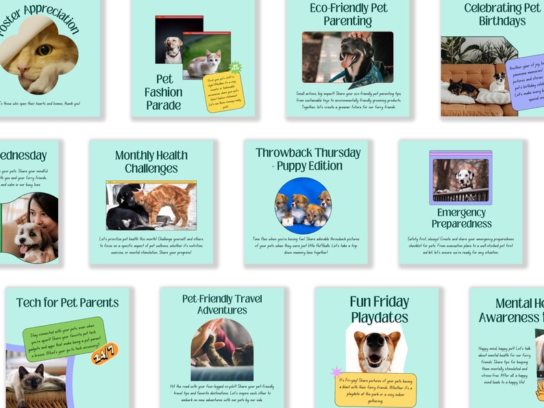 Pets Care and Accessories Instagram Business Marketing Templates, Posts and Stories for Instagram and Facebook – 200 Ready-Made Templates Fully Customizable in Canva's Free Version. using Canva's free version, Instagram post templates