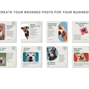 Pets Care And Accessories Educational Social Media Business Marketing Bundle Instagram Templates, Posts and Stories for Instagram and Facebook  200 Ready Made Templates Fully Customizable in Canva's Free Version.