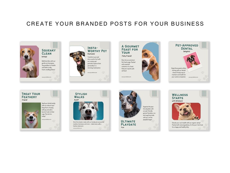 Pets Care And Accessories Educational Social Media Business Marketing Bundle Instagram Templates, Posts and Stories for Instagram and Facebook  200 Ready Made Templates Fully Customizable in Canva's Free Version.
