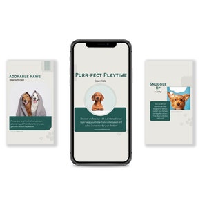 Pets Care And Accessories Educational Social Media Business Marketing Bundle Instagram Templates, Posts and Stories for Instagram and Facebook  200 Ready Made Templates Fully Customizable in Canva's Free Version.