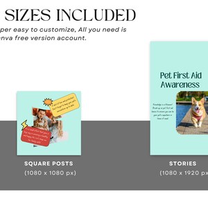 Pets Care and Accessories Instagram Business Marketing Templates, Posts and Stories for Instagram and Facebook – 200 Ready-Made Templates Fully Customizable in Canva's Free Version. using Canva's free version, Instagram post templates
