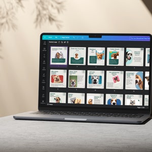 Pets Care And Accessories Educational Social Media Business Marketing Bundle Instagram Templates, Posts and Stories for Instagram and Facebook  200 Ready Made Templates Fully Customizable in Canva's Free Version.