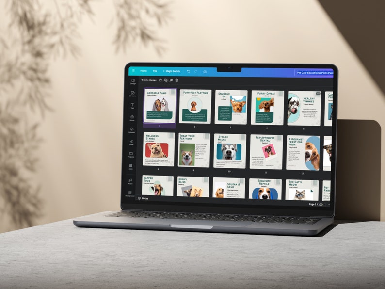 Pets Care And Accessories Educational Social Media Business Marketing Bundle Instagram Templates, Posts and Stories for Instagram and Facebook  200 Ready Made Templates Fully Customizable in Canva's Free Version.