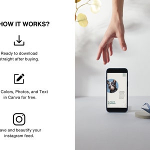 Pets Care And Accessories Educational Social Media Business Marketing Bundle Instagram Templates, Posts and Stories for Instagram and Facebook  200 Ready Made Templates Fully Customizable in Canva's Free Version.