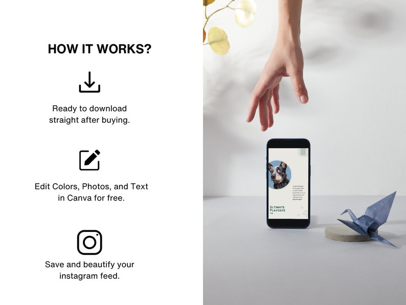 Pets Care And Accessories Educational Social Media Business Marketing Bundle Instagram Templates, Posts and Stories for Instagram and Facebook  200 Ready Made Templates Fully Customizable in Canva's Free Version.