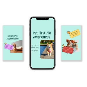 Pets Care and Accessories Instagram Business Marketing Templates, Posts and Stories for Instagram and Facebook – 200 Ready-Made Templates Fully Customizable in Canva's Free Version. using Canva's free version, Instagram post templates