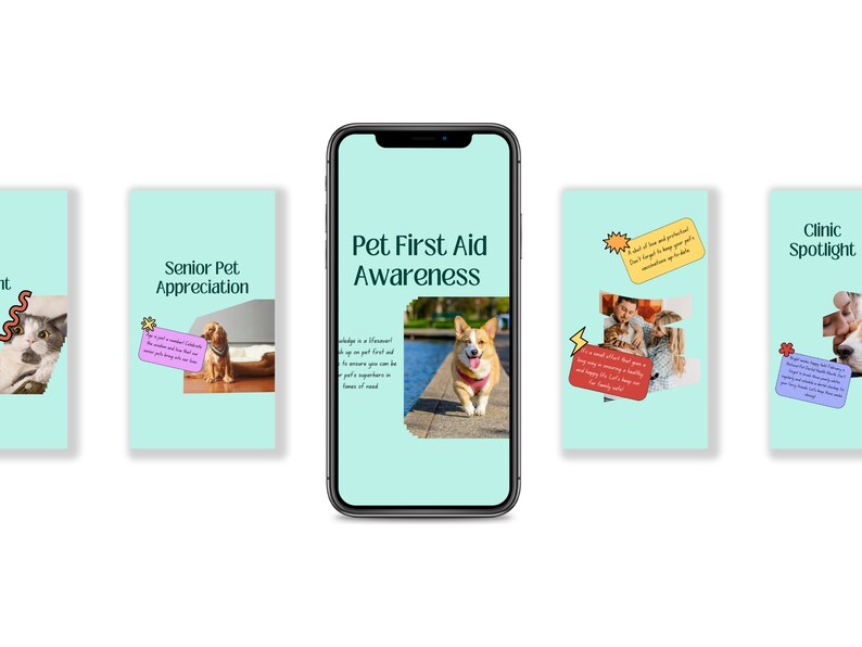 Pets Care and Accessories Instagram Business Marketing Templates, Posts and Stories for Instagram and Facebook – 200 Ready-Made Templates Fully Customizable in Canva's Free Version. using Canva's free version, Instagram post templates