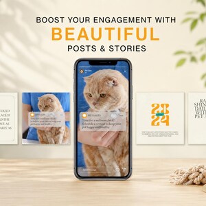 Pet care engagement posts and stories preview with cat wellness reminders, quote posts and pet lover content for Instagram.