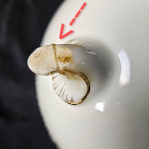 May include: Close-up of a white ceramic object with a small, rounded handle. The handle has a light brown stain and is attached to the main body of the object. The object appears to be a part of a larger ceramic piece.