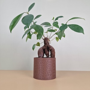 Blumentopf SENSATION • Pflanzenkübel • Minimalistisch • Modern • Design • Holz • Deko • Geschenkidee • Kaktus • Wohnkultur  • Wohnzimmer