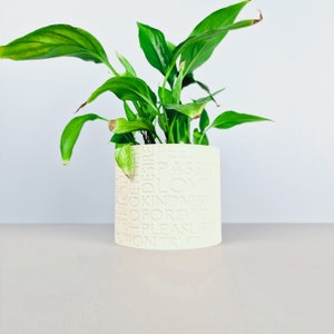Blumentopf SENSATION • Pflanzenkübel • Minimalistisch • Modern • Design • Holz • Deko • Geschenkidee • Kaktus • Wohnkultur  • Wohnzimmer
