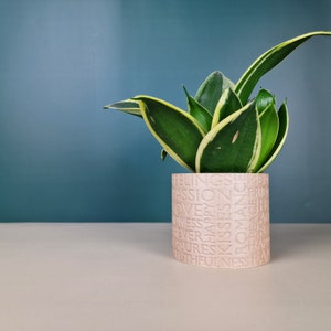Blumentopf SENSATION • Pflanzenkübel • Minimalistisch • Modern • Design • Holz • Deko • Geschenkidee • Kaktus • Wohnkultur  • Wohnzimmer