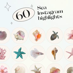 Summer Instagram Highlight Covers | Beach Instagram Preset | Vacation Story Highlights | Digital Download for Influencers