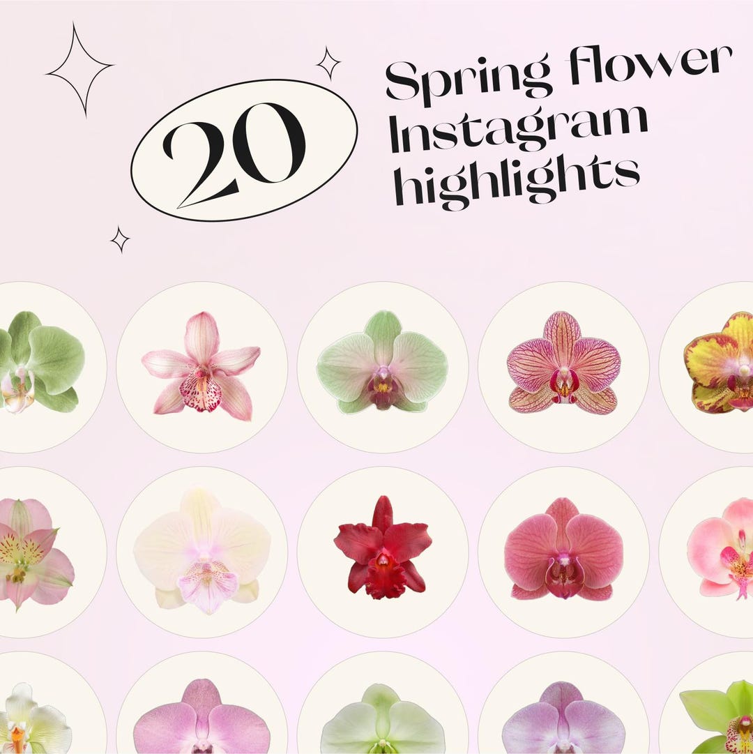 Instagram Highlight Covers Flowers
