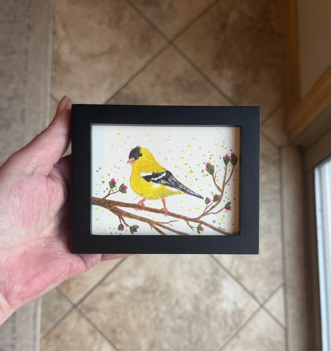 Original American Goldfinch Watercolor Painting - Framed Miniature Art ...