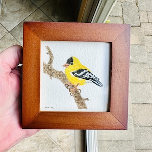 American Goldfinch Painting - Original Painting - NOT a Print - TINY painting - Miniature Art - Watercolor Painting - Frame Included