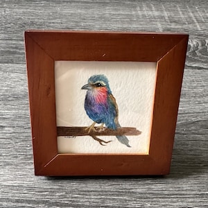 Colorful Bird on Branch - Original Painting - NOT a Print - TINY painting - Miniature Art - Watercolor - Frame Included