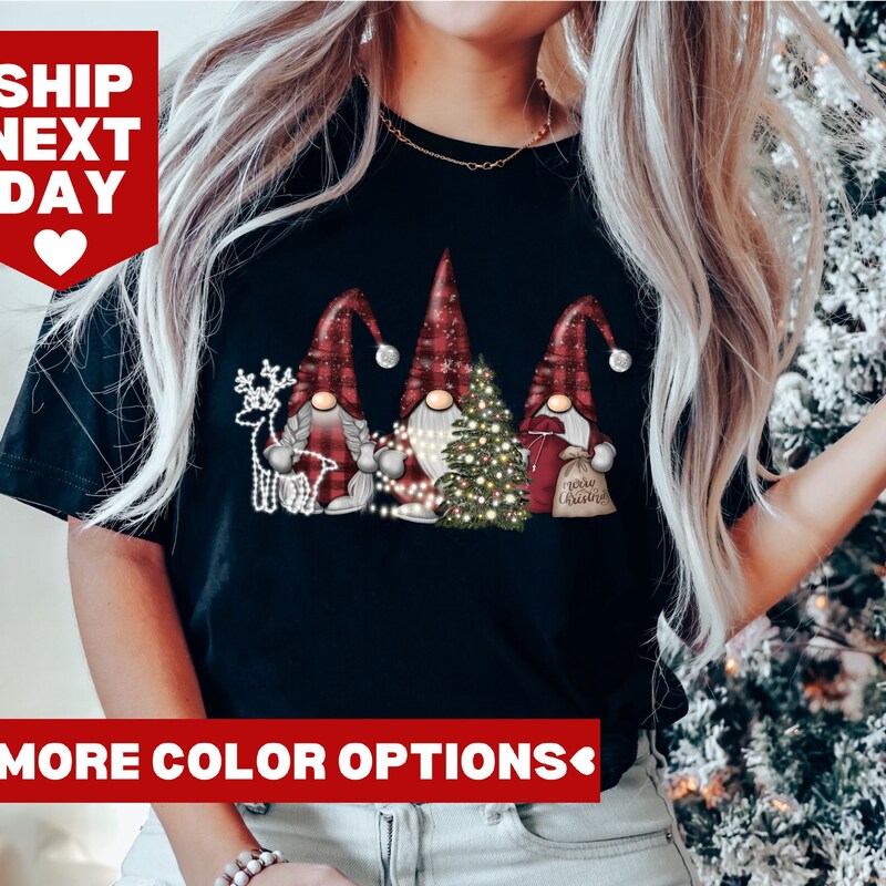 Christmas Gnome Long Sleeve Graphic Tee main image 0