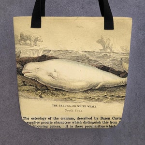 Vintage Beluga Whale Tote Bag – Classic Ocean Art by Cuvier
