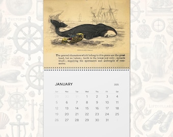 May include: A 2025 wall calendar featuring a vintage illustration of a Greenland whale and a small boat in the ocean. The text reads: The general characters which belong to this genus are the great head, but no baleen; teeth in the lower jaw only.