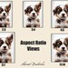 Printable Australian Shepherd Puppy Portrait Home Wall Decor Wall Art ...
