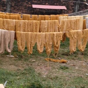 May include: Rows of golden-yellow yarn hanging on clotheslines to dry outdoors. The yarn is suspended above a grassy area, with a brick wall and a red-roofed structure in the background. The yarn appears to be freshly dyed.