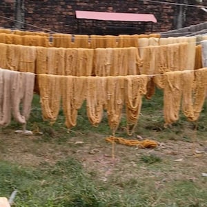 May include: Multiple long, thin hanks of golden-yellow and light beige yarn are draped over horizontal white lines to dry. The strands of fiber hang vertically in rows, creating a repetitive pattern of textured, fibrous material outdoors.