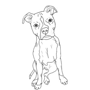 Personalized custom pet sketch