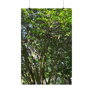 Matte Vertical Posters