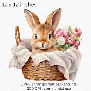 Conejito de primavera de acuarela en una cesta de flores rústicas clipart, ramo de tulipanes rojos y blancos PNG, fondo transparente