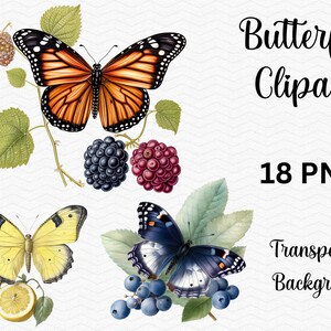 Mariposa colorida con imágenes prediseñadas de frutas - Descarga digital para Scrapbooking y elaboración / ¡Uso comercial gratuito!