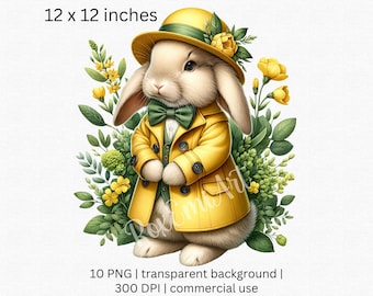 Cute Vintage Rabbits in Victorian Clothing Clipart, 10 PNG Bunny Bundle, Scrapbook, Junk Journal, Paper decoration, Collage sheets
