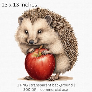Hérisson mignon tenant une pomme Clipart - Idéal pour l’illustration vintage, la chambre de bébé, l’artisanat en papier, l’art mural, la décoration rétro. Un usage commercial!