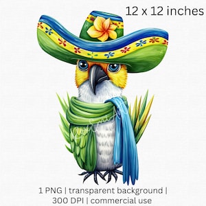 Perroquet oiseau PNG, perroquet ara dans Sombrero Hat Floral Clipart, fond transparent, utilisation commerciale