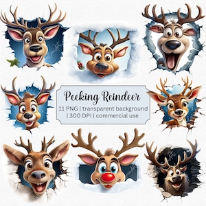 Clipart di renna carina, renna divertente che sbircia attraverso un buco nel muro, PNG 3D, sfondo trasparente, licenza commerciale inclusa