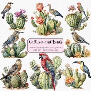 Aquarelle Cactus mignon Clip Art - Clipart oiseaux mignons - Cactus du désert PNG | Un usage commercial! Téléchargement numérique instantané !