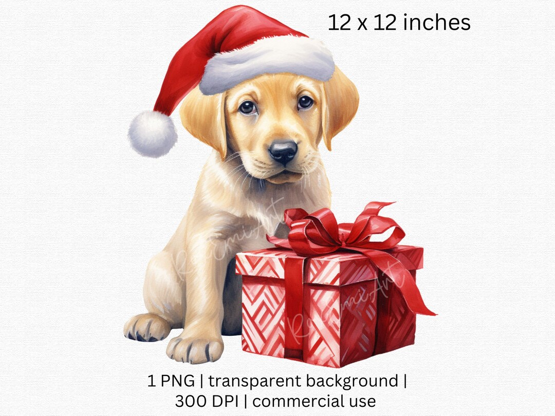 Cute Yellow Labrador With Santa Hat Clipart, Puppy Labrador Christmas ...