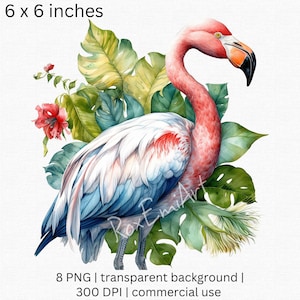Watercolor Flamingo PNG Clipart with Tropical plant PNG Bundle, Summer party clipart, Free Comercial Use