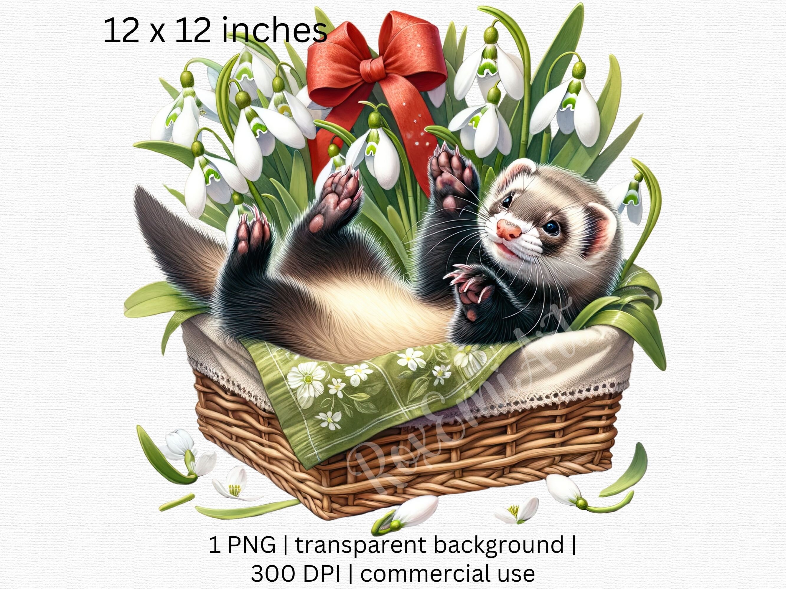 Cute Ferret in a Basket With Snowdrop PNG, Animal Portrait, Spring ...
