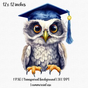 Graduation Clipart | Watercolor Owl PNG | Printable Bird | Graduation Cap PNG | Graduate Gift | Free Commercial Use!