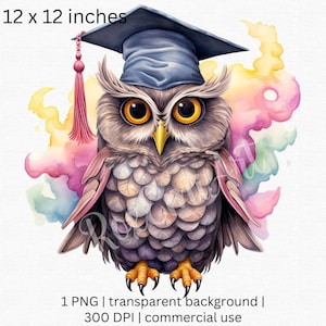 Clipart de remise des diplômes, hibou avec des flammes PNG, chapeau de remise des diplômes PNG, cadeau de finissants, sublimation de hibou, licence commerciale incluse, téléchargement numérique