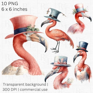 Flamingo with Hat Clipart - Tropical PNG, Flamingo Art, Free Commercial Use, Digital Download, Watercolor, Pink Flamingo